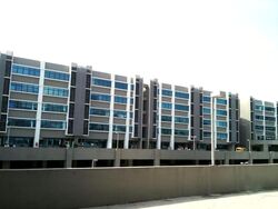 Vertex (D14), Factory #629658771